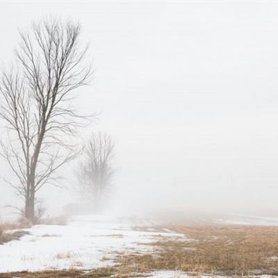 一分极速赛车平台