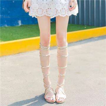 星力正版捕鱼下载手机版